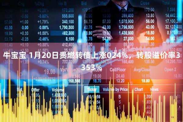 牛宝宝 1月20日贵燃转债上涨024%，转股溢价率3353%