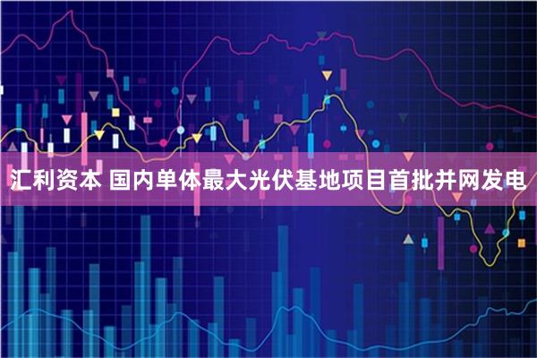 汇利资本 国内单体最大光伏基地项目首批并网发电