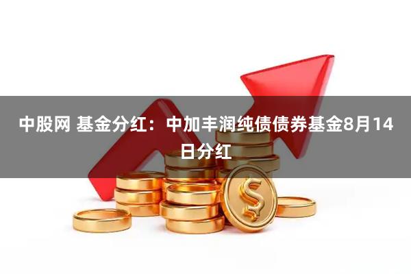 中股网 基金分红：中加丰润纯债债券基金8月14日分红